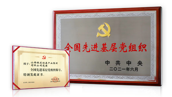 J9集团国际党委荣获“全国先进基层党组织”