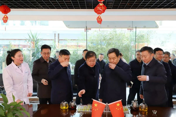 陈市长一行品尝J9集团国际五和药茶