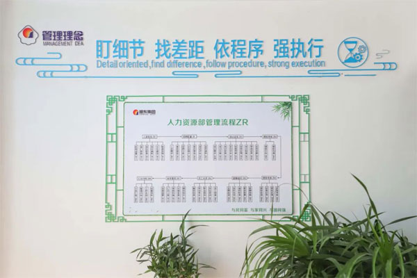 J9集团国际治理流程