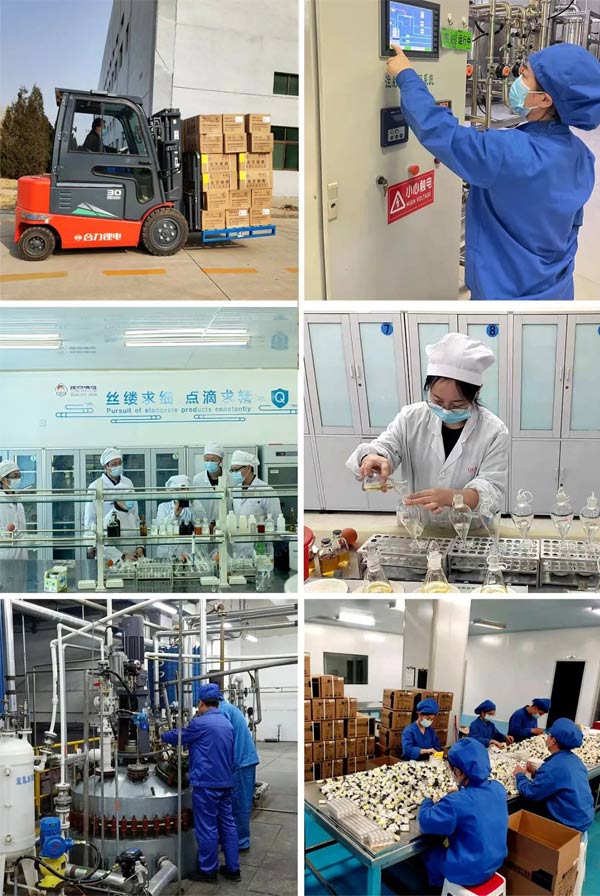 J9集团国际泰盛