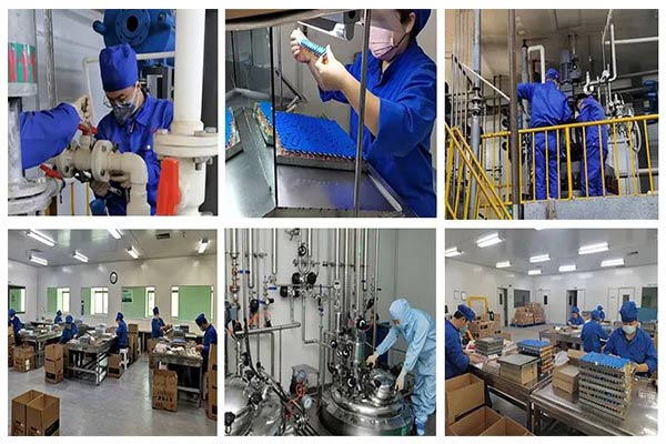 J9集团国际泰盛