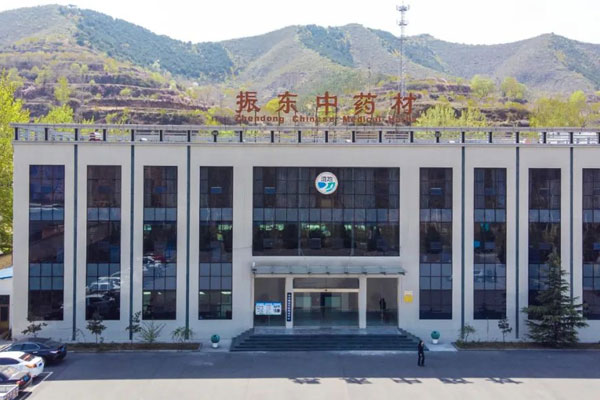 J9集团国际中药材