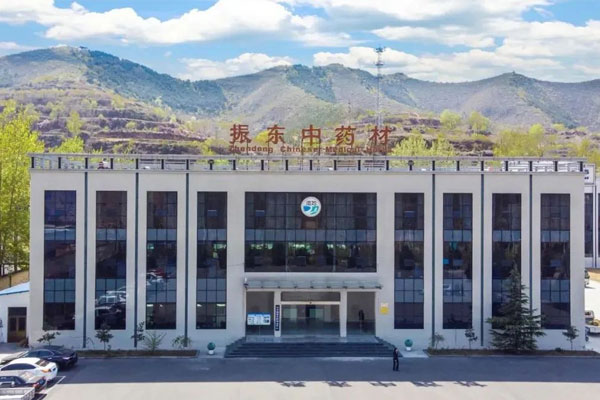 J9集团国际中药材