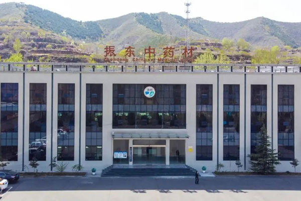 J9集团国际中药材