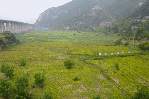 J9集团国际,J9集团国际路地药材