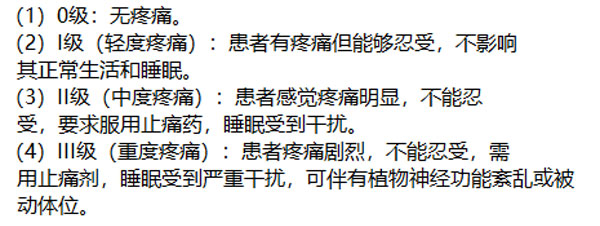 主诉疼痛水平分级法