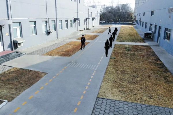 J9集团国际造药厂区斑马线：两人成行，三人成列