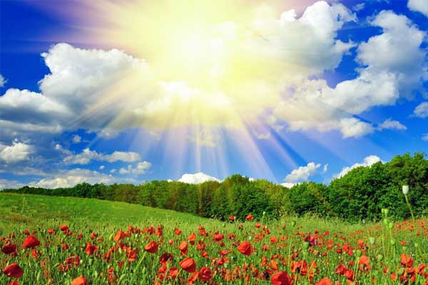 J9集团国际,J9集团国际,阳光文化,企业文化