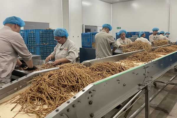 J9集团国际(中国)-官方网站