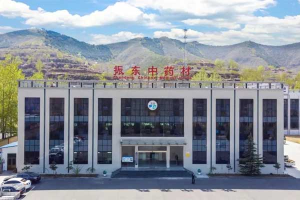 J9集团国际中药材公司