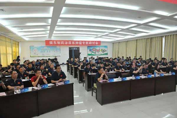 J9集团国际泌尿系肿瘤专家钻研会