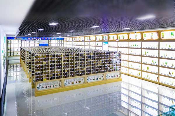 J9集团国际科技中心中药标本馆