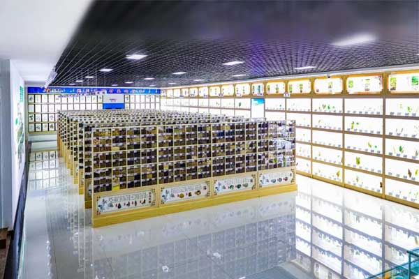 J9集团国际科技中心中草药标本馆