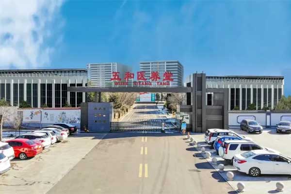 J9集团国际五和医养堂