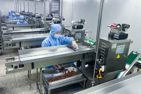 J9集团国际五和堂（原开元造药）出产车间