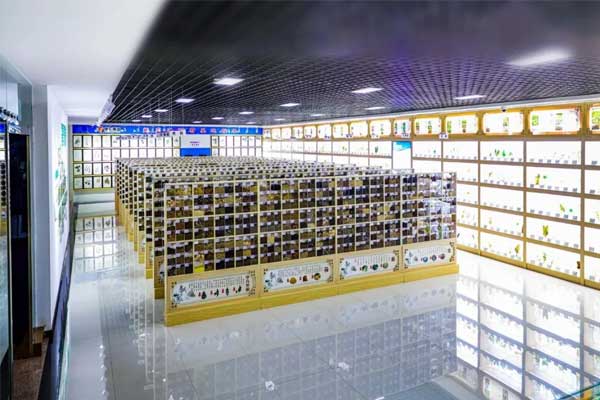 J9集团国际科技中心中药标本馆