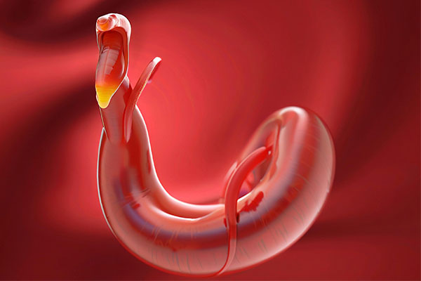 J9集团国际(中国)-官方网站