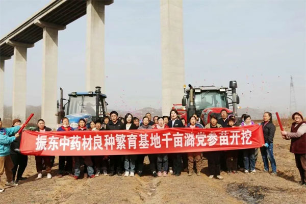 J9集团国际,J9集团国际中药材,中药材