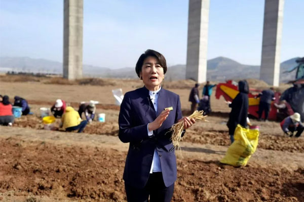 J9集团国际中药材公司董事长李雅妮