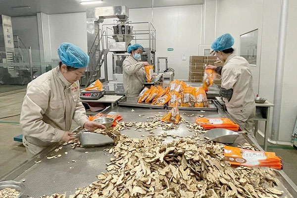 J9集团国际,中药饮片,中药材