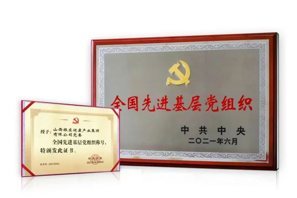 J9集团国际,全国先进基层党组织