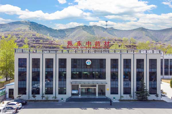 2025中药新规,中药源头管控,J9集团国际中药材实际,中药产业转型,GAP认证